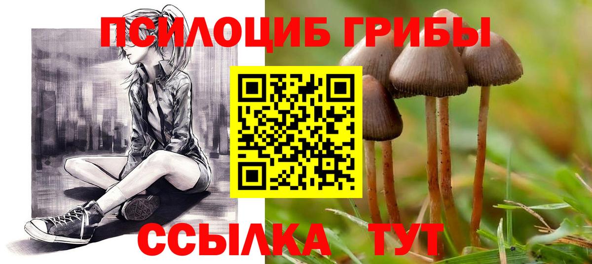 Галлюциногенные грибы GOLDEN TEACHER  Вход с VPN  Псилоцибиновые грибы Psilocybe  Балахна 